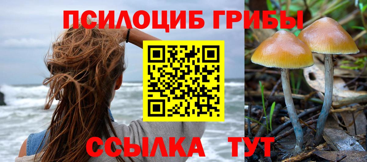Галлюциногенные грибы Psilocybe  Галлюциногенные грибы мицелий  Вход с VPN  Екатеринбург 