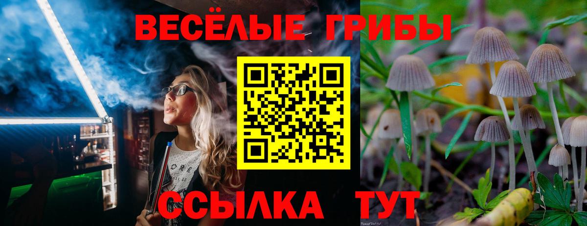 Псилоцибиновые грибы GOLDEN TEACHER Екатеринбург