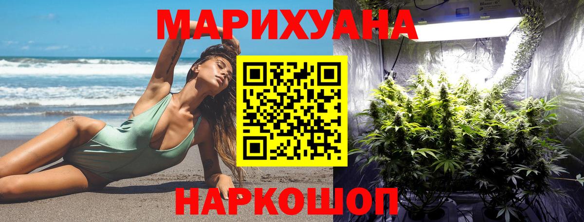 Марихуана сатива Екатеринбург